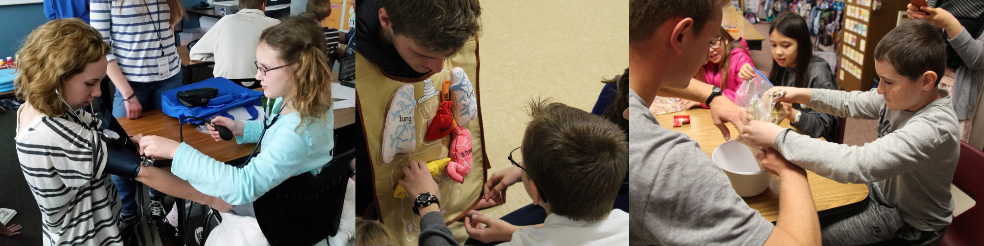 Students teach children about anatomy